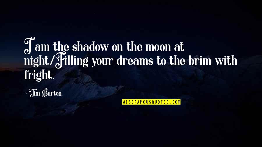 Best Night Ever Quotes By Tim Burton: I am the shadow on the moon at