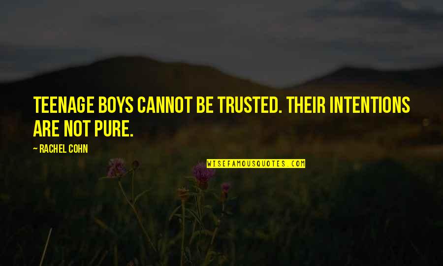 Best Niko Quotes By Rachel Cohn: Teenage boys cannot be trusted. Their intentions are