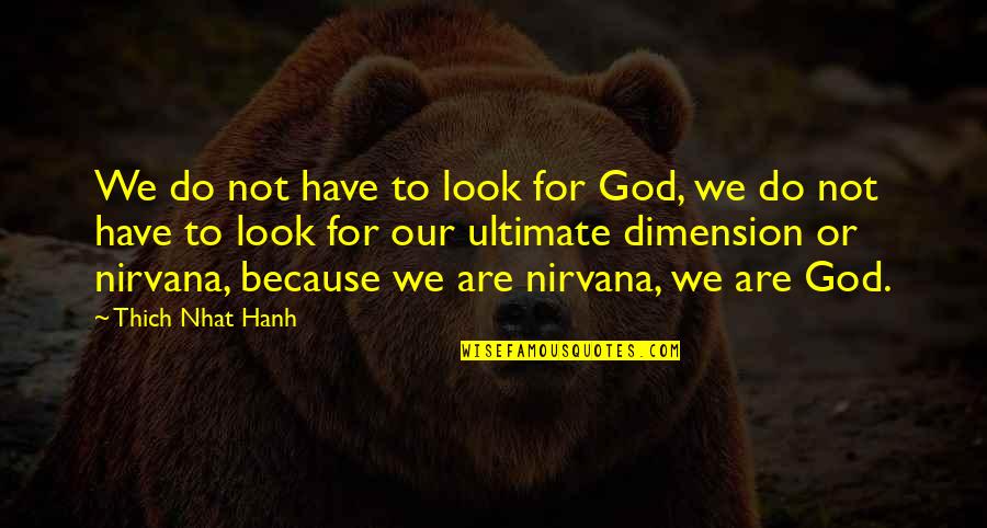 Best Nirvana Quotes By Thich Nhat Hanh: We do not have to look for God,