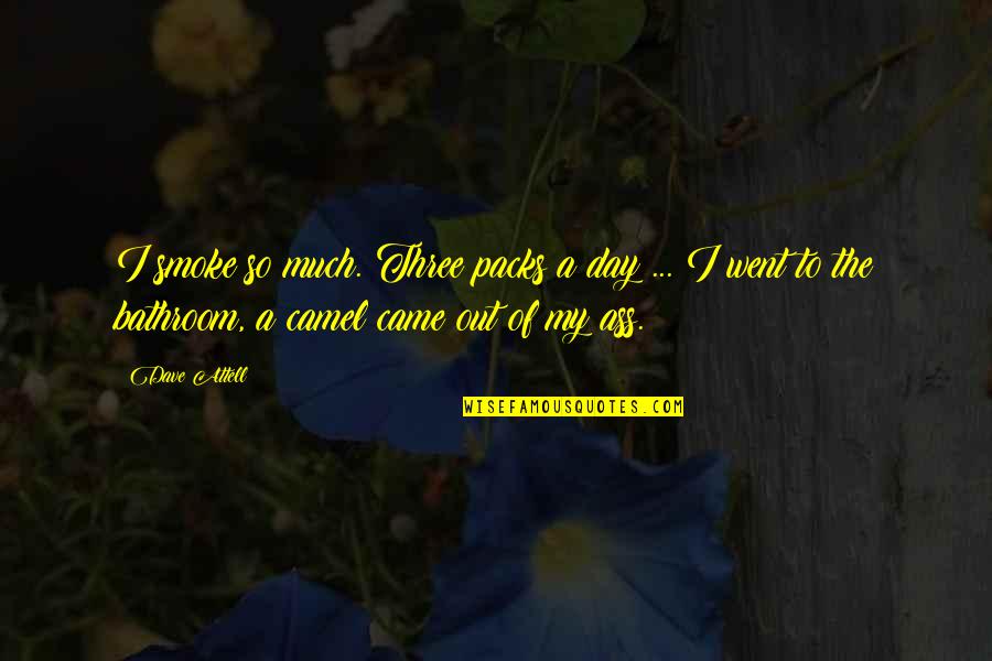Best No Smoking Quotes By Dave Attell: I smoke so much. Three packs a day Best No Smoking Quotes By Dave Attell: I smoke so much. Three packs a day