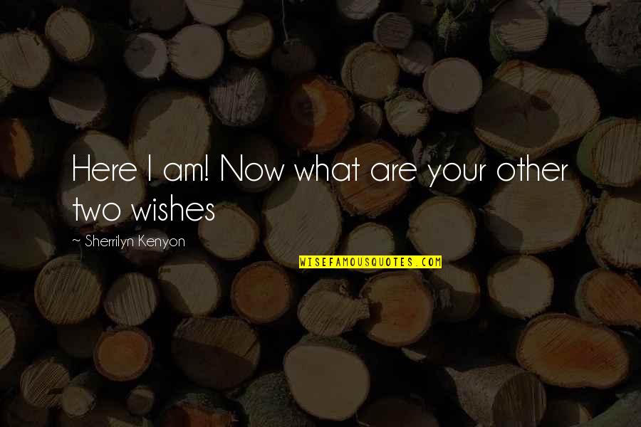 Best Of Wishes Quotes By Sherrilyn Kenyon: Here I am! Now what are your other