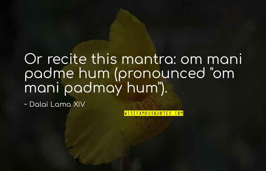 Best Om&m Quotes By Dalai Lama XIV: Or recite this mantra: om mani padme hum