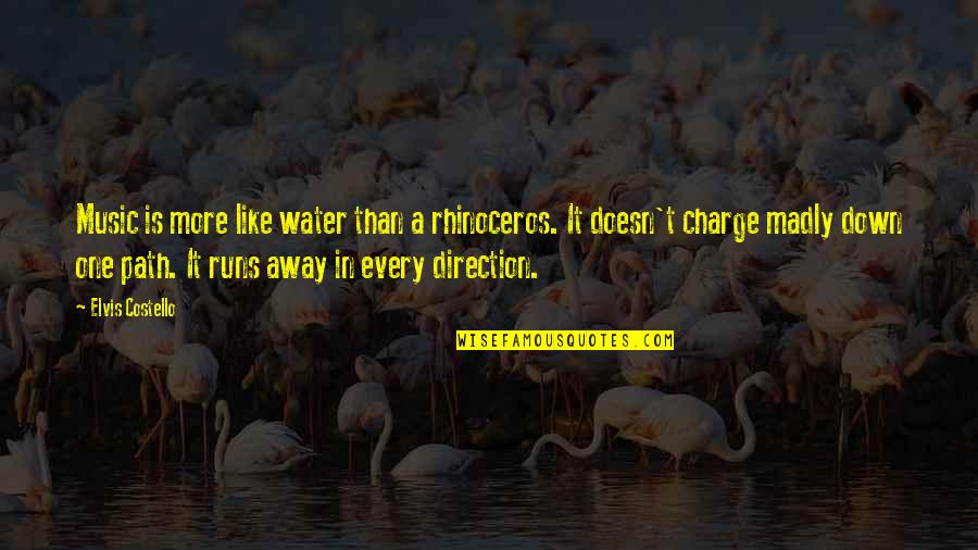 Best One Direction Music Quotes By Elvis Costello: Music is more like water than a rhinoceros.
