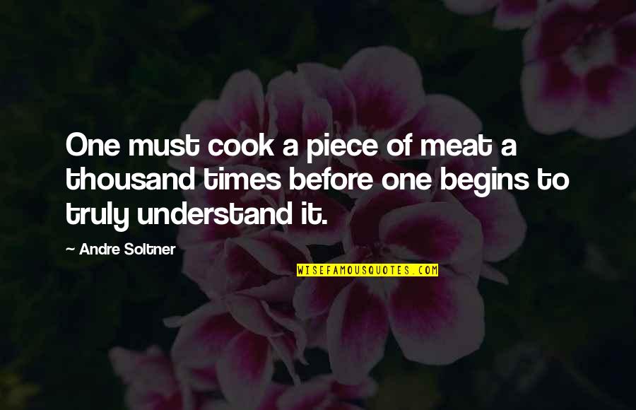 Best One Piece Quotes By Andre Soltner: One must cook a piece of meat a