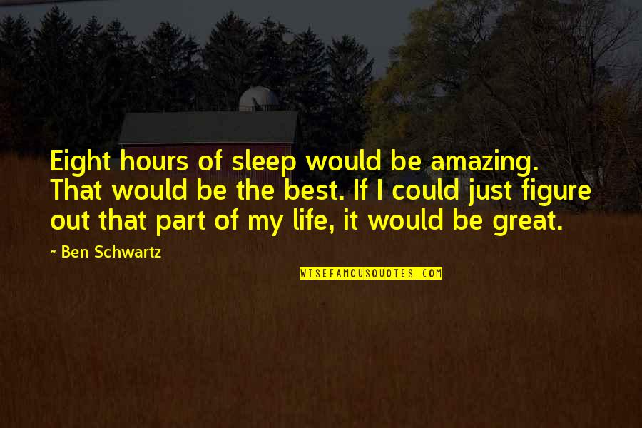 Best Out Of Life Quotes By Ben Schwartz: Eight hours of sleep would be amazing. That