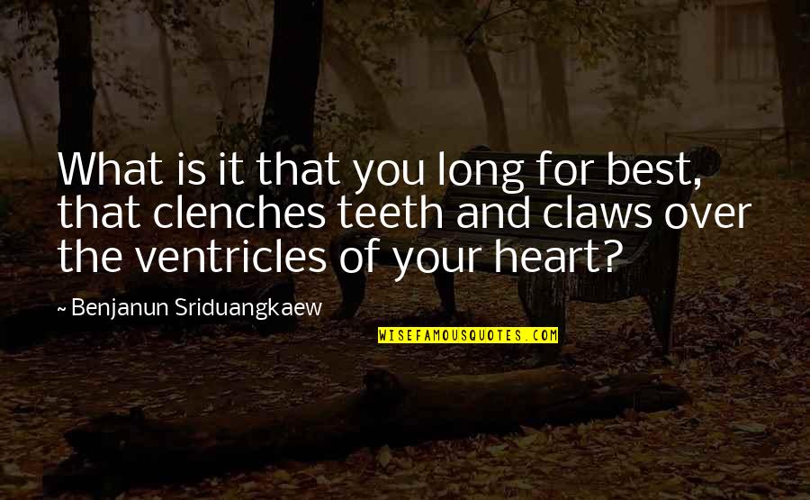 Best Over You Quotes By Benjanun Sriduangkaew: What is it that you long for best,