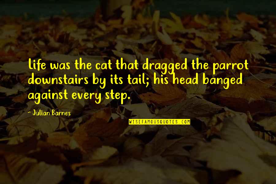Best Parrot Quotes By Julian Barnes: Life was the cat that dragged the parrot