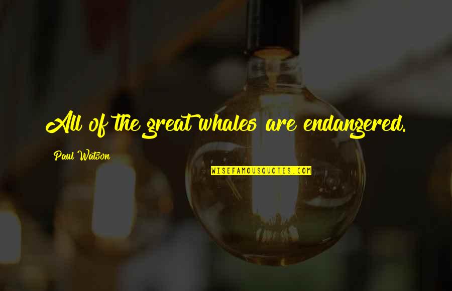 Best Paul Watson Quotes By Paul Watson: All of the great whales are endangered.