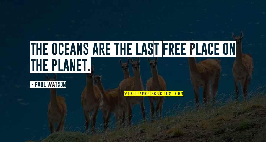 Best Paul Watson Quotes By Paul Watson: The oceans are the last free place on