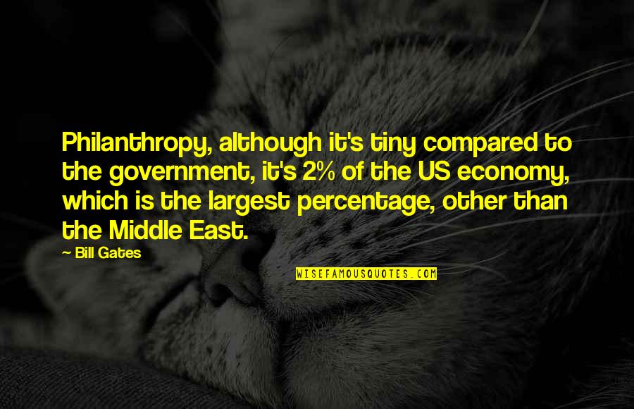 Best Percentage Quotes By Bill Gates: Philanthropy, although it's tiny compared to the government,