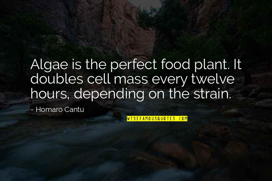 Best Perfect Cell Quotes By Homaro Cantu: Algae is the perfect food plant. It doubles