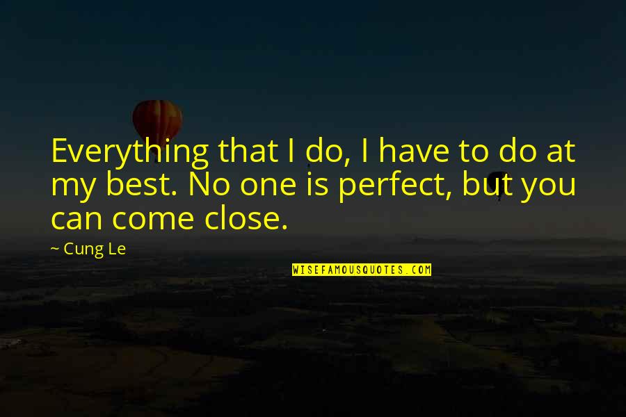 Best Perfect One Quotes By Cung Le: Everything that I do, I have to do