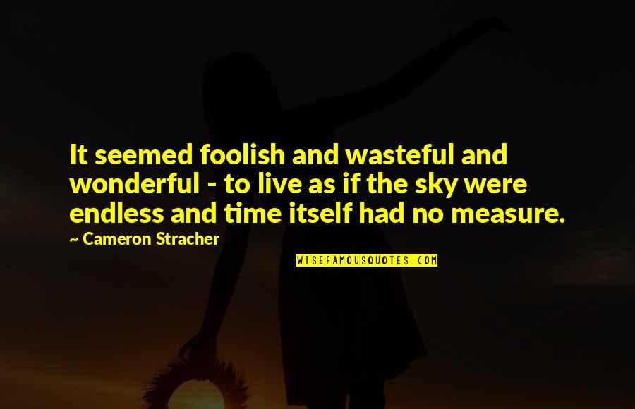 Best Performance Review Quotes By Cameron Stracher: It seemed foolish and wasteful and wonderful -