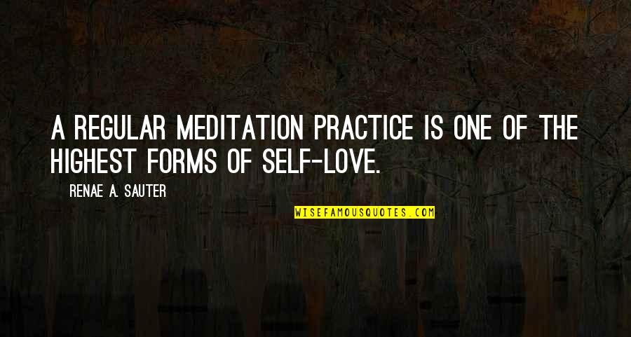 Best Personal Development Quotes By Renae A. Sauter: A regular meditation practice is one of the