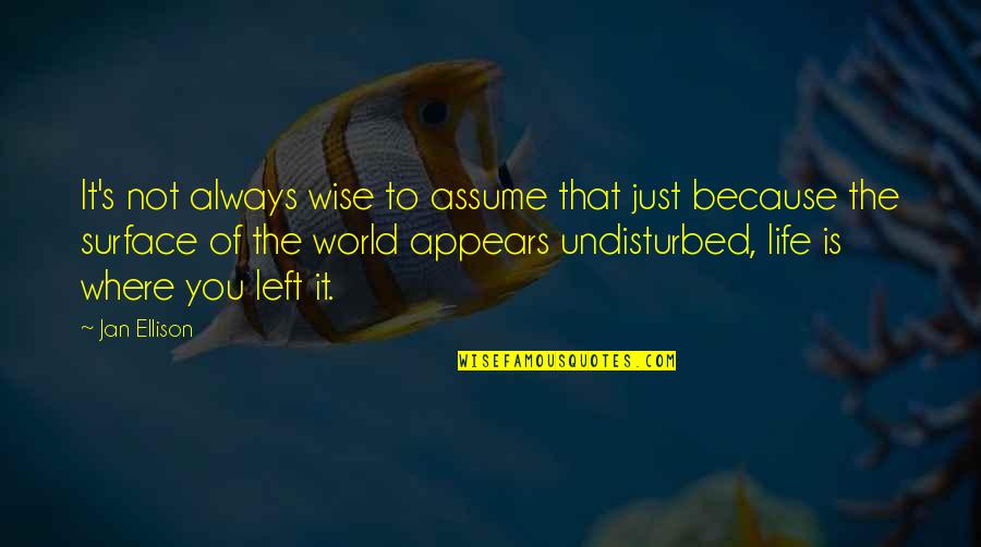 Best Philosophical Quotes By Jan Ellison: It's not always wise to assume that just