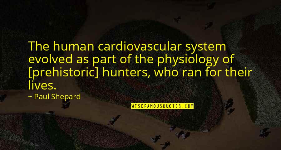 Best Physiology Quotes By Paul Shepard: The human cardiovascular system evolved as part of