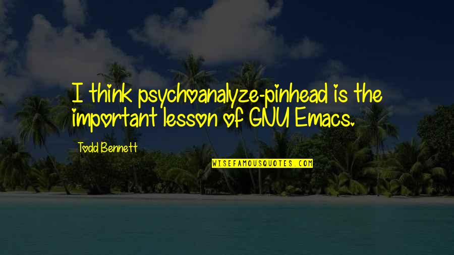 Best Pinhead Quotes By Todd Bennett: I think psychoanalyze-pinhead is the important lesson of