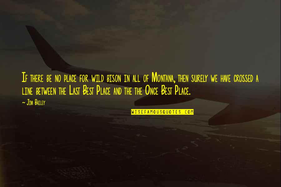 Best Place For Quotes By Jim Bailey: If there be no place for wild bison Best Place For Quotes By Jim Bailey: If there be no place for wild bison