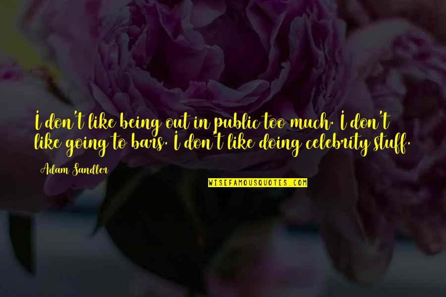 Best Place To Work Employee Quotes By Adam Sandler: I don't like being out in public too Best Place To Work Employee Quotes By Adam Sandler: I don't like being out in public too