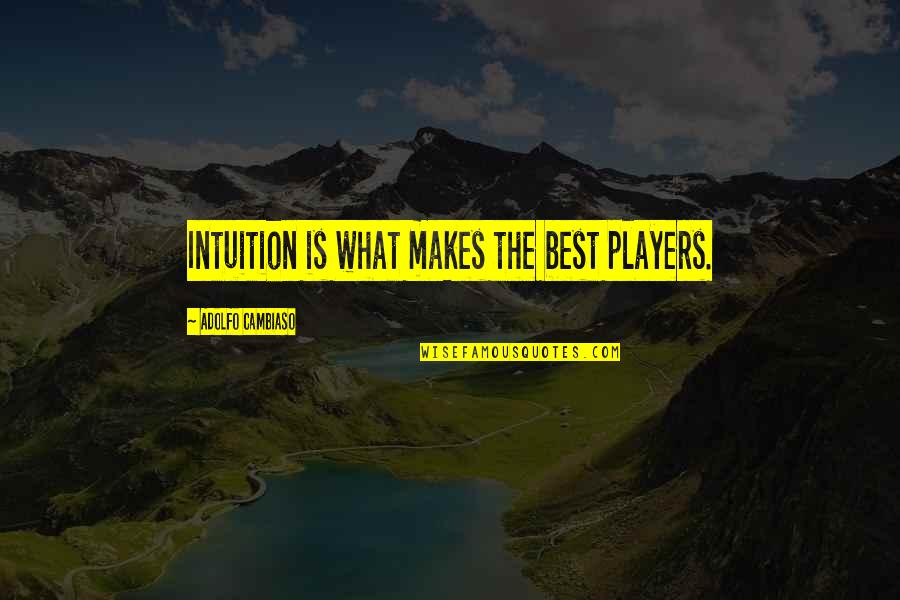 Best Players Quotes By Adolfo Cambiaso: Intuition is what makes the best players. Best Players Quotes By Adolfo Cambiaso: Intuition is what makes the best players.