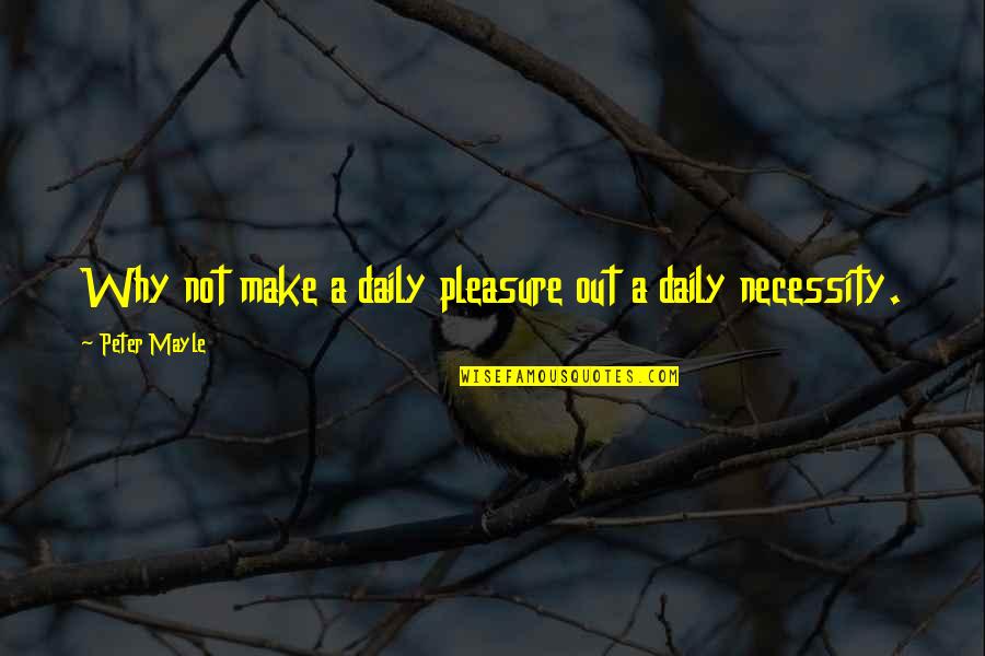 Best Positive Outlook Quotes By Peter Mayle: Why not make a daily pleasure out a