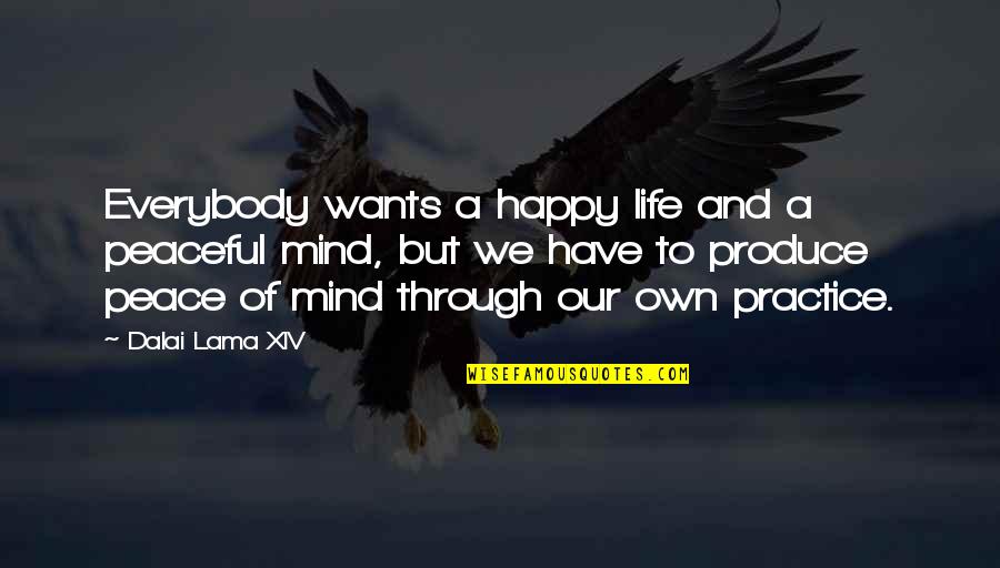 Best Practices Quotes By Dalai Lama XIV: Everybody wants a happy life and a peaceful