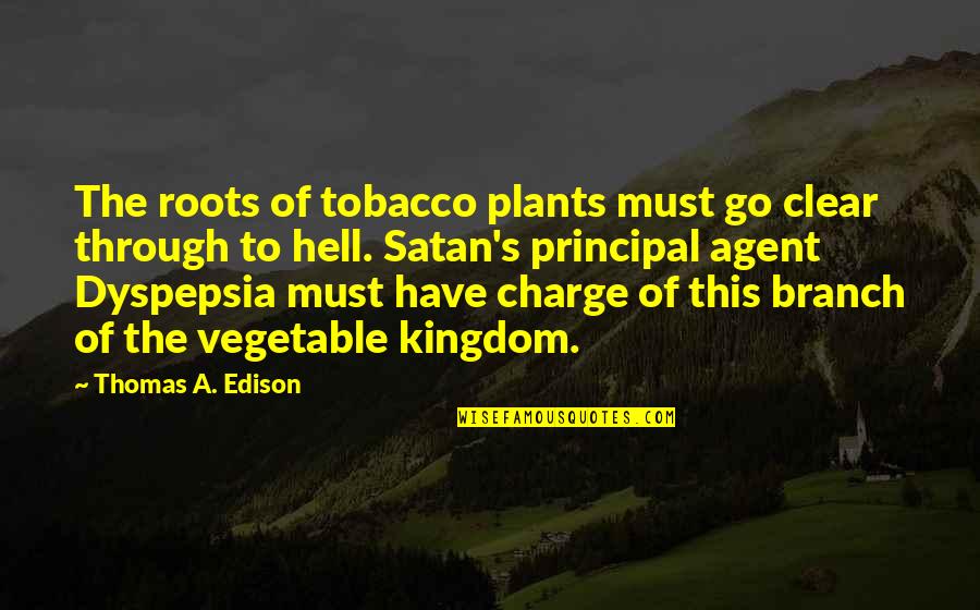 Best Principal Quotes By Thomas A. Edison: The roots of tobacco plants must go clear