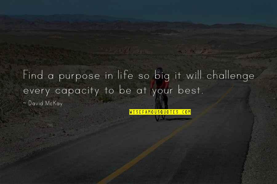 Best Purpose Quotes By David McKay: Find a purpose in life so big it