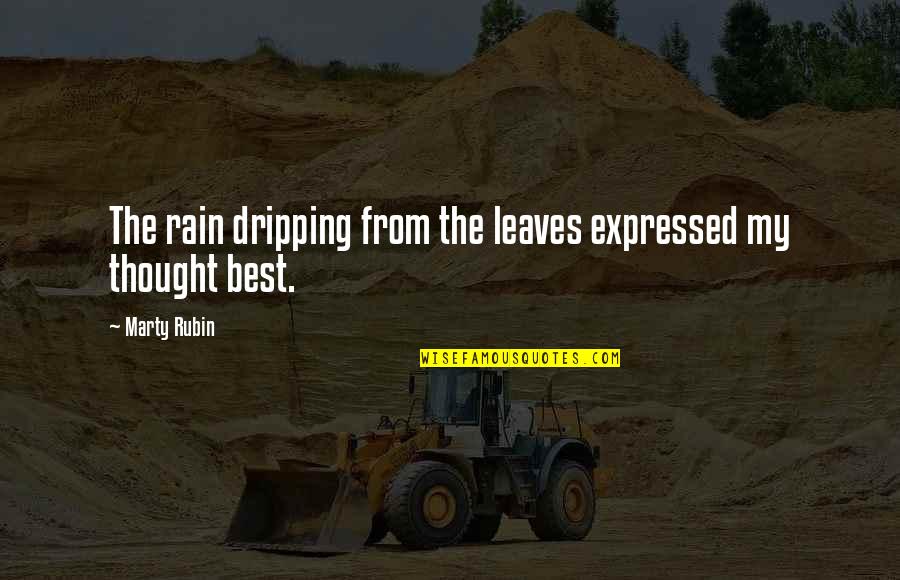 Best Rain Quotes By Marty Rubin: The rain dripping from the leaves expressed my