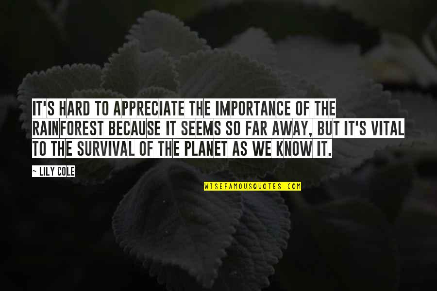 Best Rainforest Quotes By Lily Cole: It's hard to appreciate the importance of the Best Rainforest Quotes By Lily Cole: It's hard to appreciate the importance of the
