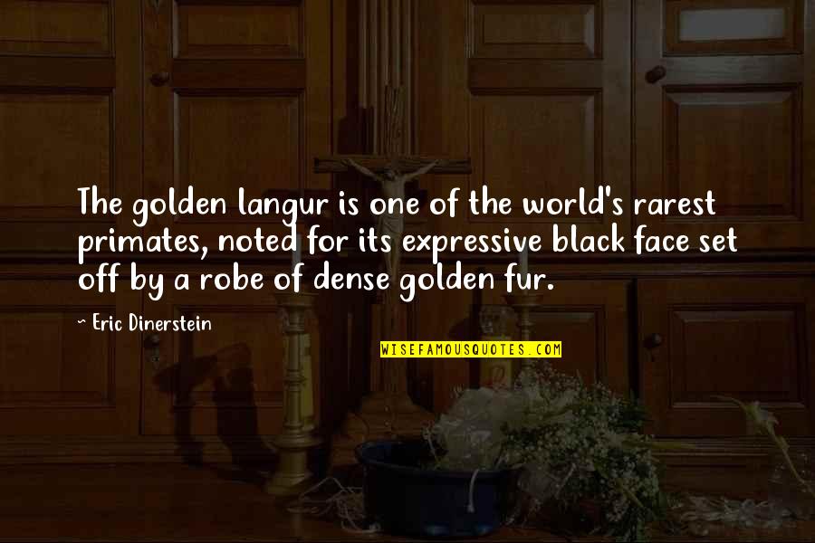 Best Rarest Quotes By Eric Dinerstein: The golden langur is one of the world's