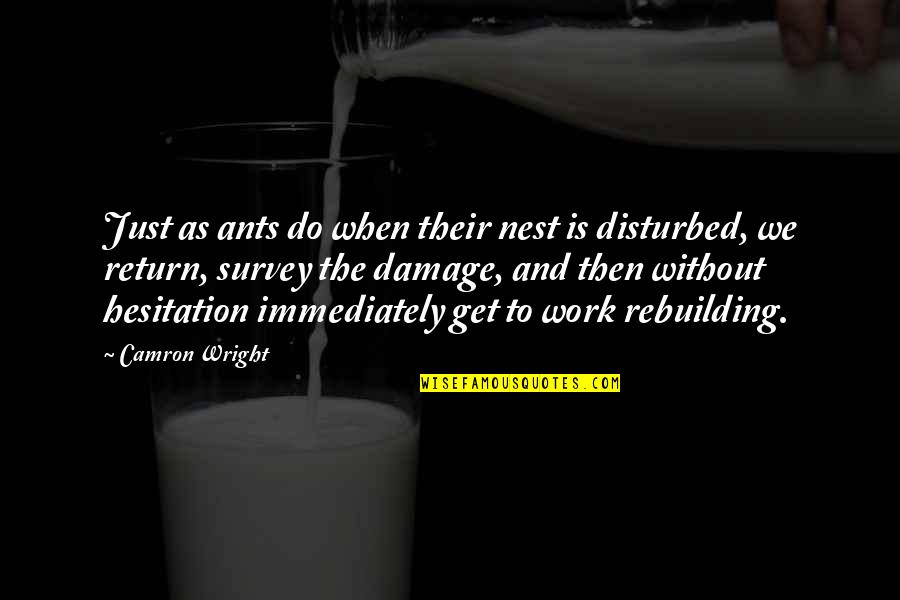 Best Rebuilding Quotes By Camron Wright: Just as ants do when their nest is