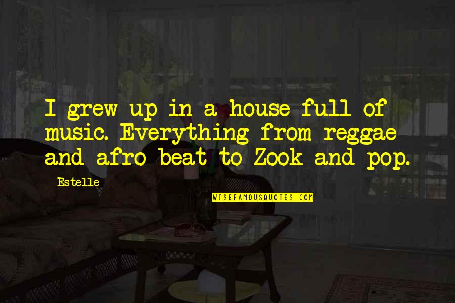 Best Reggae Music Quotes By Estelle: I grew up in a house full of