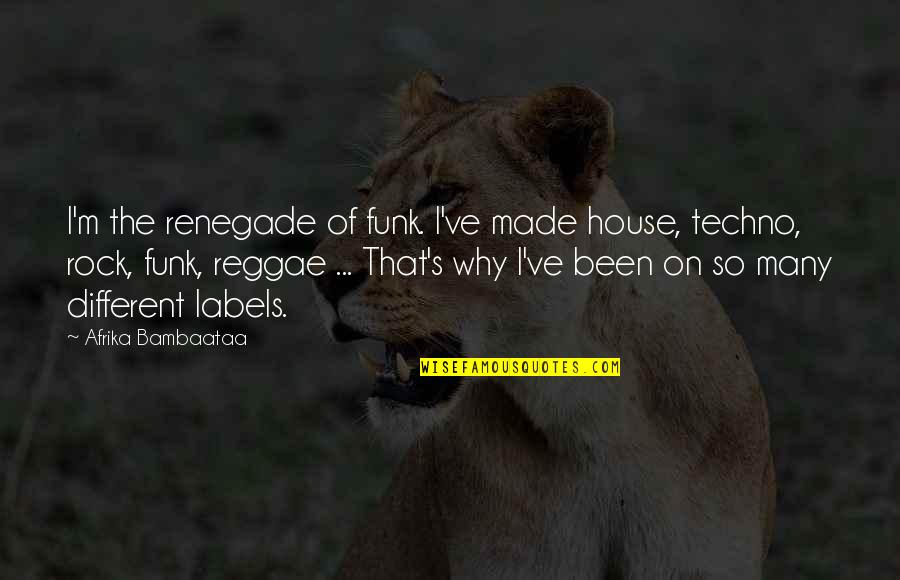 Best Reggae Quotes By Afrika Bambaataa: I'm the renegade of funk. I've made house,