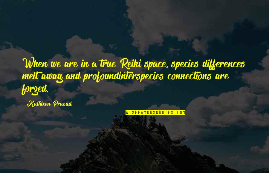 Best Reiki Quotes By Kathleen Prasad: When we are in a true Reiki space,