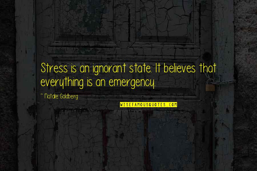 Best Relaxation Quotes By Natalie Goldberg: Stress is an ignorant state. It believes that Best Relaxation Quotes By Natalie Goldberg: Stress is an ignorant state. It believes that