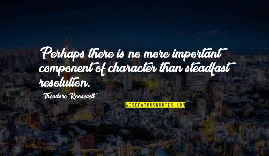 Best Resolution Quotes By Theodore Roosevelt: Perhaps there is no more important component of Best Resolution Quotes By Theodore Roosevelt: Perhaps there is no more important component of