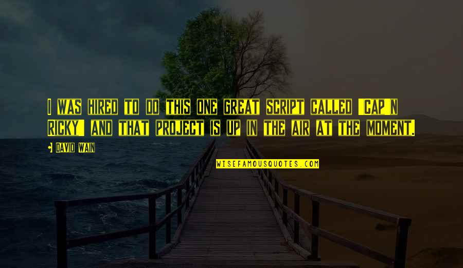 Best Ricky Quotes By David Wain: I was hired to do this one great