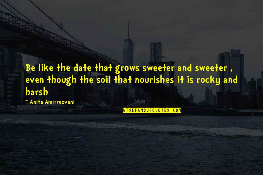 Best Rocky 6 Quotes By Anita Amirrezvani: Be like the date that grows sweeter and