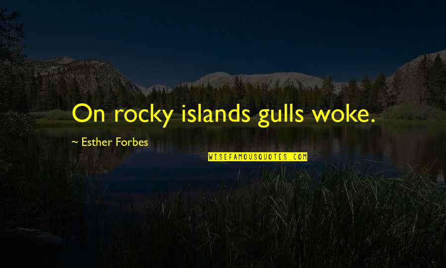 Best Rocky Quotes By Esther Forbes: On rocky islands gulls woke.