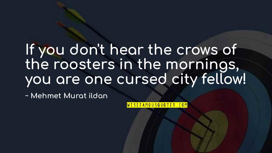 Best Rooster Quotes By Mehmet Murat Ildan: If you don't hear the crows of the