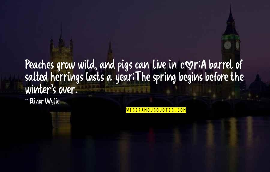 Best Salted Quotes By Elinor Wylie: Peaches grow wild, and pigs can live in