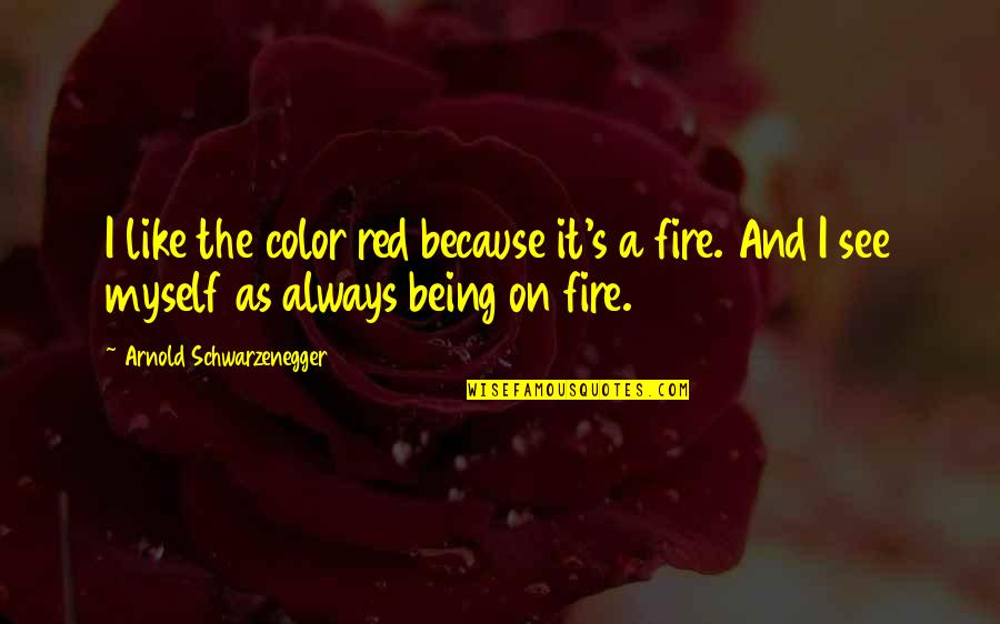Best Schwarzenegger Quotes By Arnold Schwarzenegger: I like the color red because it's a Best Schwarzenegger Quotes By Arnold Schwarzenegger: I like the color red because it's a
