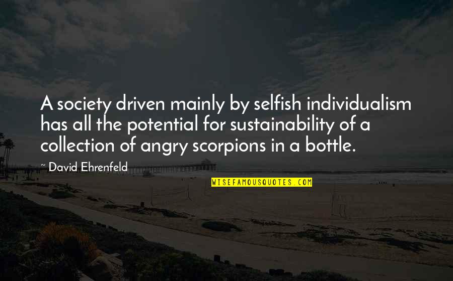 Best Scorpions Quotes By David Ehrenfeld: A society driven mainly by selfish individualism has