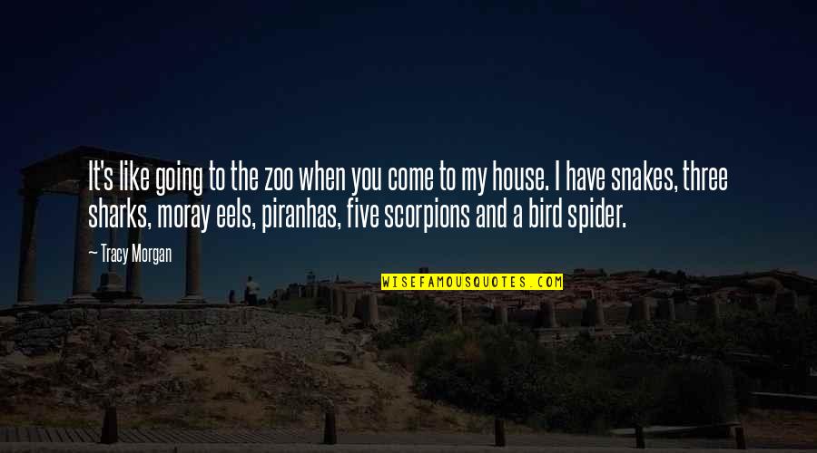 Best Scorpions Quotes By Tracy Morgan: It's like going to the zoo when you