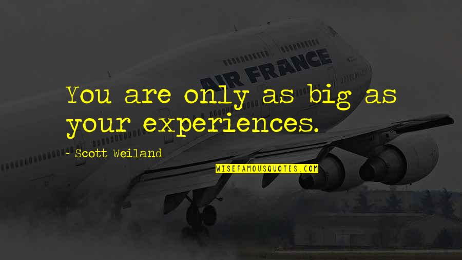 Best Scott Weiland Quotes By Scott Weiland: You are only as big as your experiences.