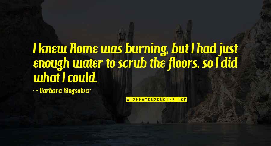 Best Scrub Quotes By Barbara Kingsolver: I knew Rome was burning, but I had Best Scrub Quotes By Barbara Kingsolver: I knew Rome was burning, but I had
