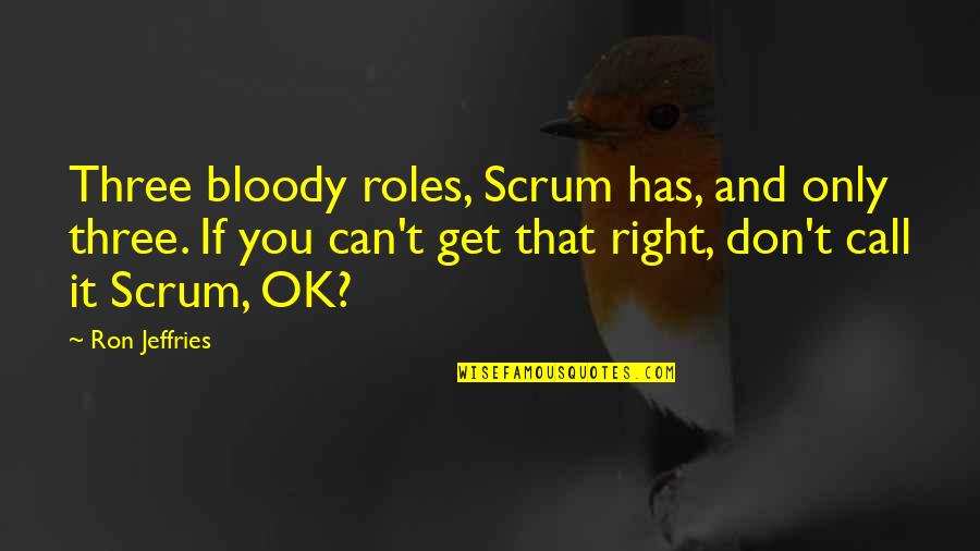 Best Scrum Quotes By Ron Jeffries: Three bloody roles, Scrum has, and only three.
