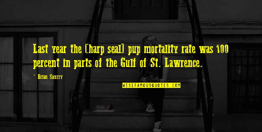 Best Seal Quotes By Brian Skerry: Last year the [harp seal] pup mortality rate