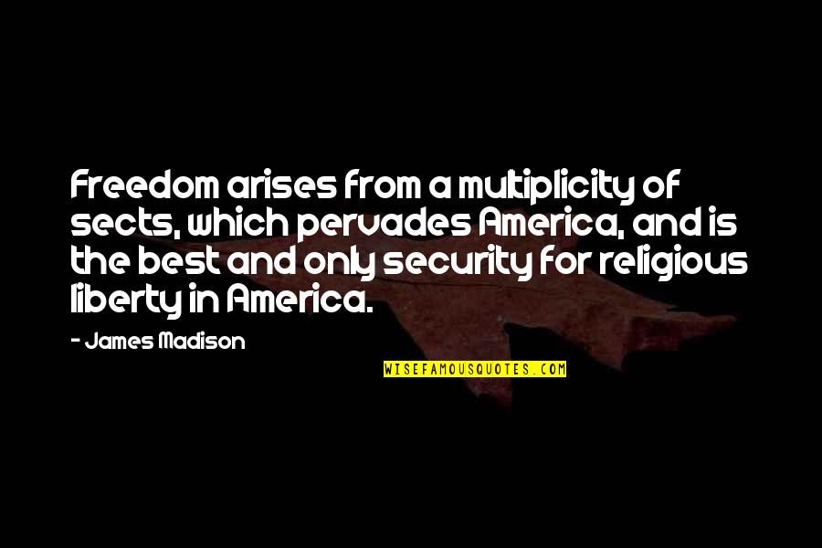 Best Security Quotes By James Madison: Freedom arises from a multiplicity of sects, which